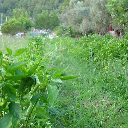 Baraka Hisaronu (adults Only) Отель Мармарис
